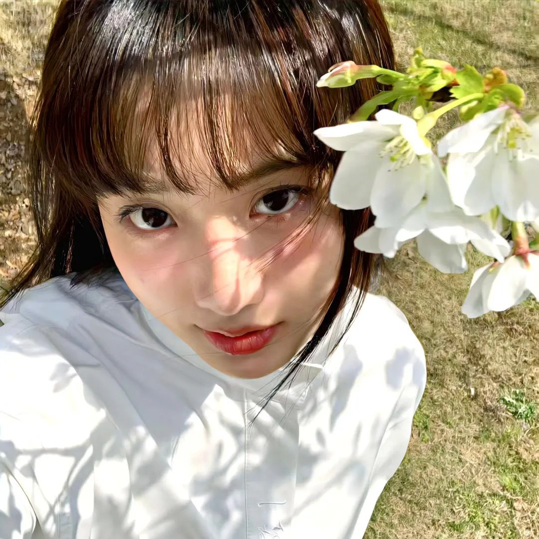 几度菊花香 海报